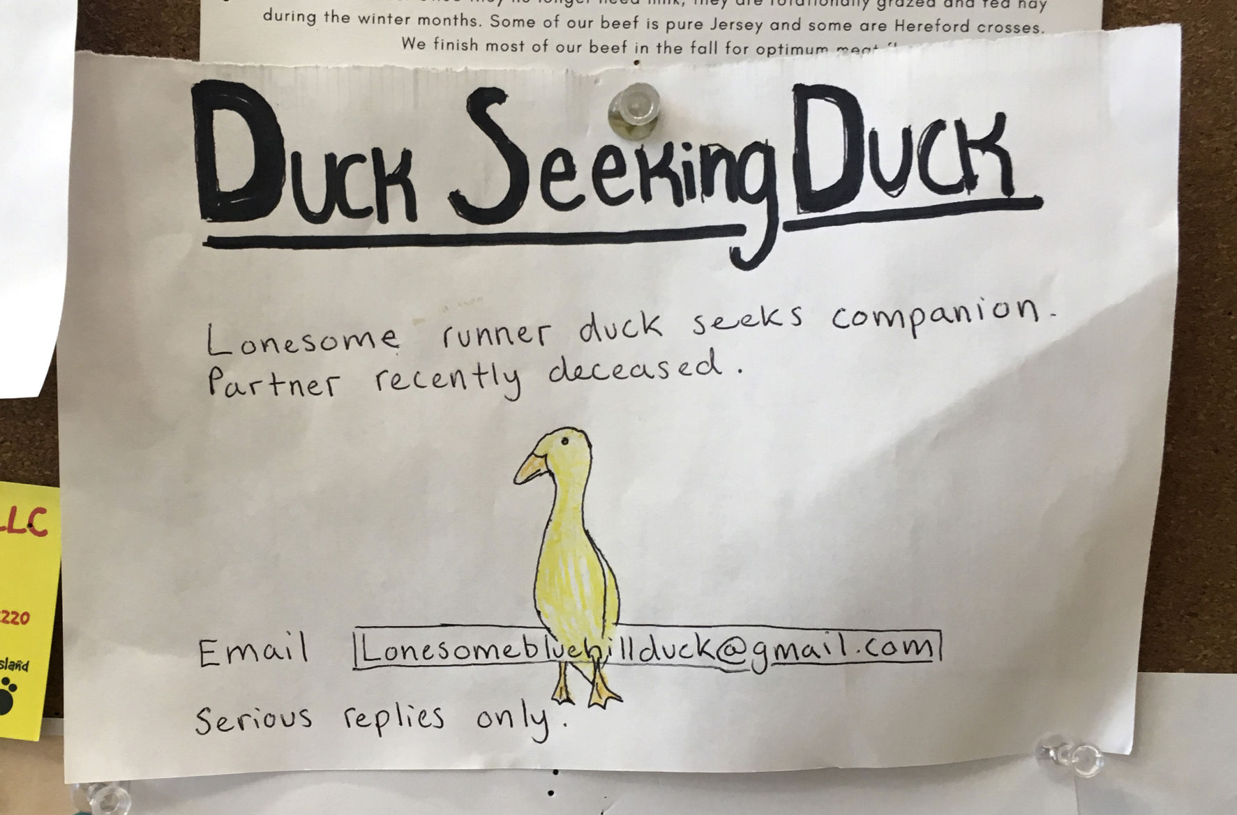 Duck Date